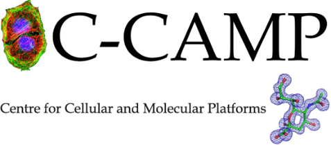 CCAMP LOGO