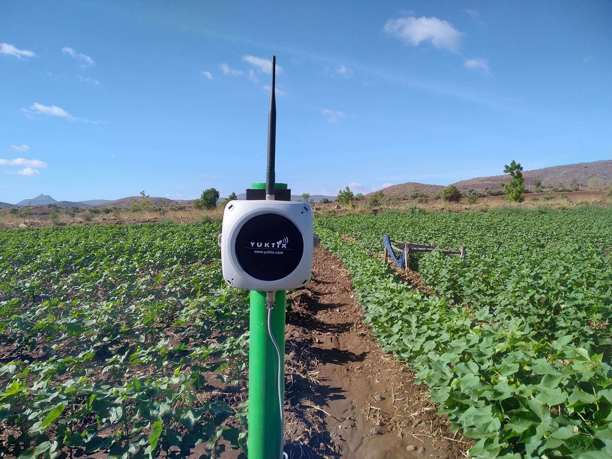 Yuktix irrigation device in a cotton field in kadapa, andhra pradesh